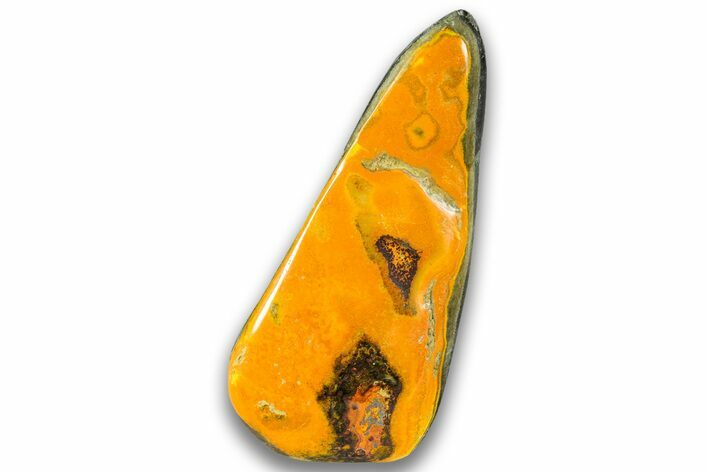 Very Vibrant, Free-Standing Polished Bumblebee Jasper #324963